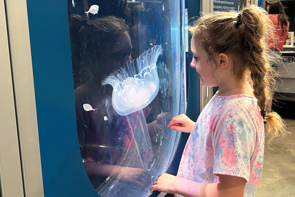 child at Dauphin Island Sea Lab